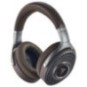 Focal_Hadenys
