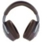 Focal_Hadenys